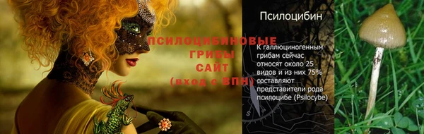 ПСИЛОЦИБИНОВЫЕ ГРИБЫ Краснослободск
