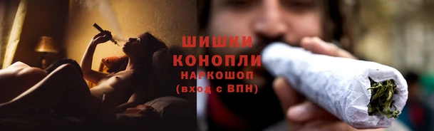 ПСИЛОЦИБИНОВЫЕ ГРИБЫ Краснослободск