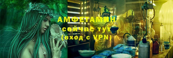 ПСИЛОЦИБИНОВЫЕ ГРИБЫ Краснослободск